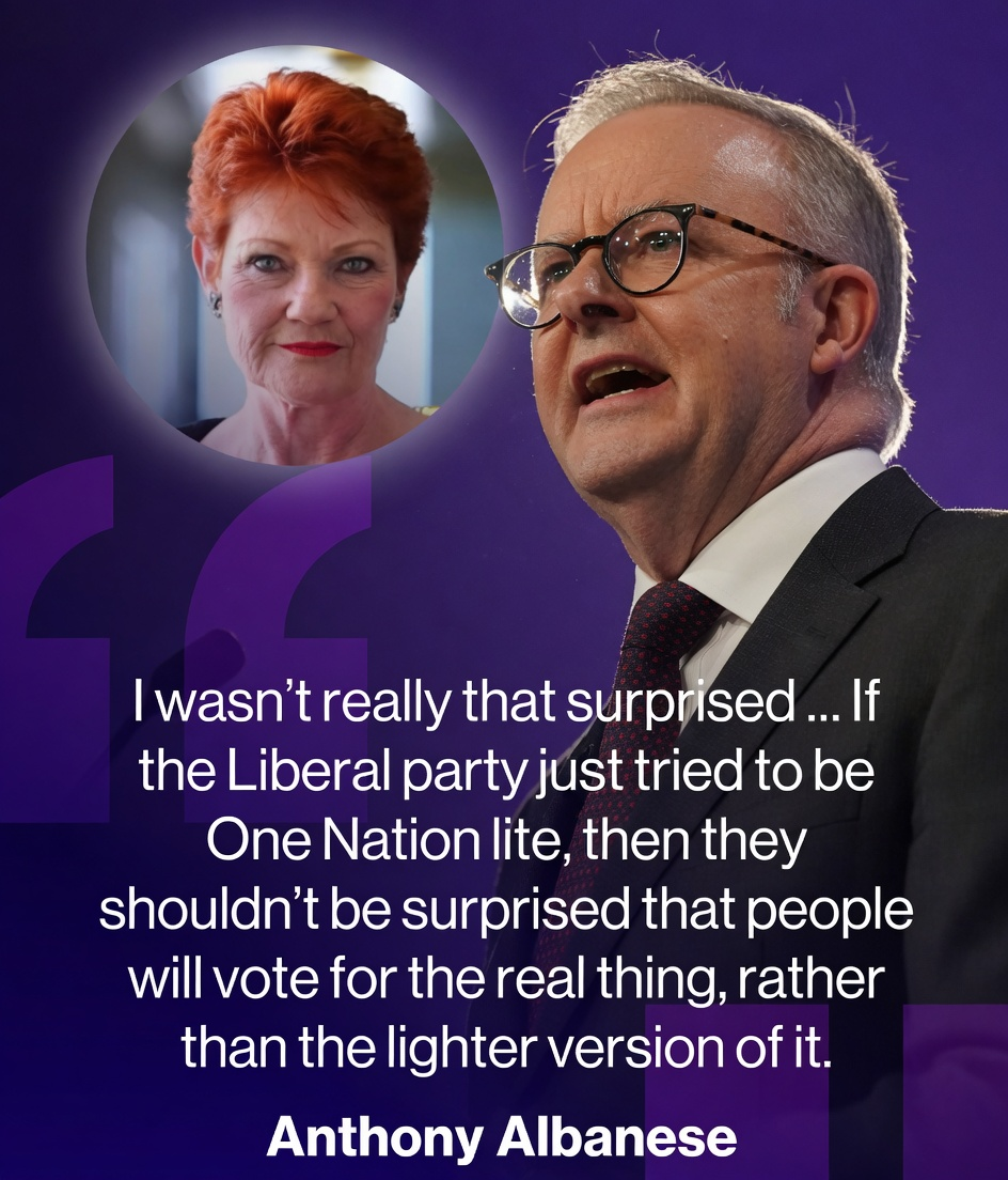 Anthony Albanese speaking at a podium regarding the Farrer by-election result