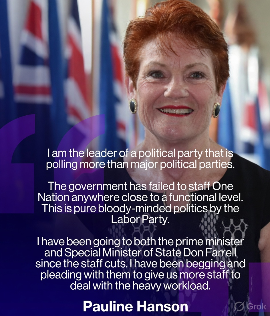 Close up portrait of smiling Pauline Hanson over an official quote block accusing Labor of bloody minded politics