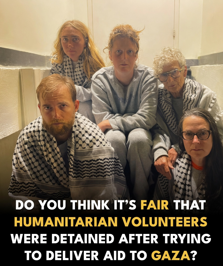 Five distressed Australian activists quấn khăn Keffiyeh sitting on a concrete staircase beneath an official survey headline
