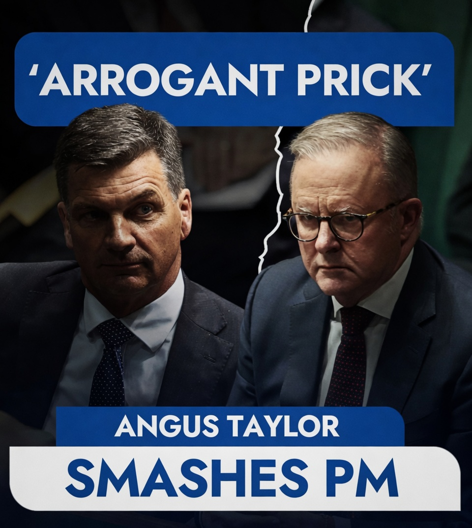 Angus Taylor and Anthony Albanese clash in parliament