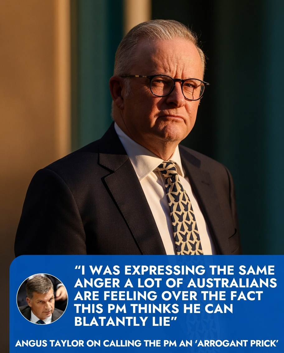Angus Taylor explains Albanese comment