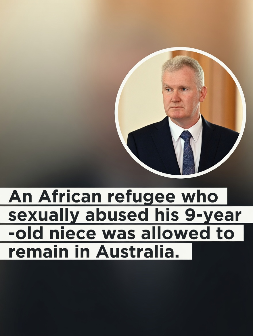Tony Burke at a press conference discussing immigration laws and ART tribunal outcomes
