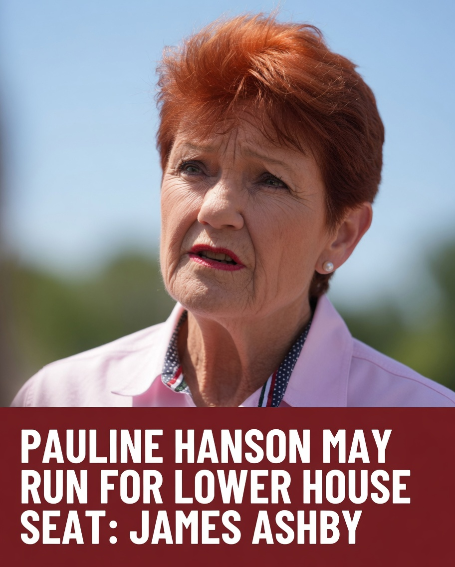 Pauline Hanson considering a move from the Senate to the House of Representatives