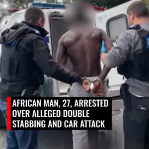 An African man 27 has been charged after allegedly stabbing his sister and cousin and ramming a house with a stolen car during a terrifying rampage across Melbourne