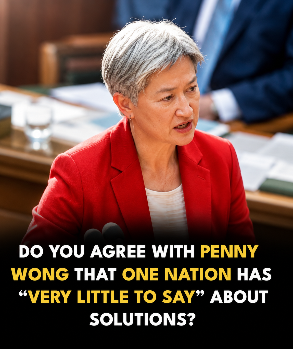 Penny Wong and One Nation political debate