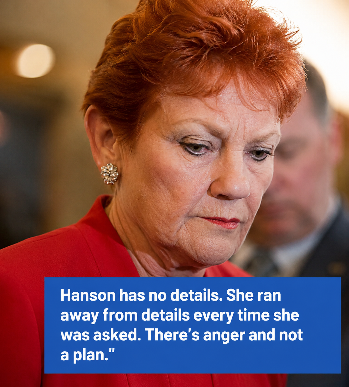 Pauline Hanson monoculture debate