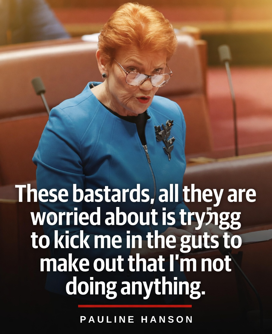 Pauline Hanson Senate attendance controversy
