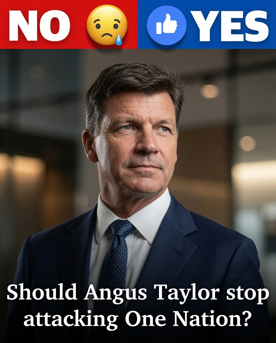 Angus Taylor speaking as debate intensifies over Coalition strategy and One Nation