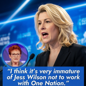image 73