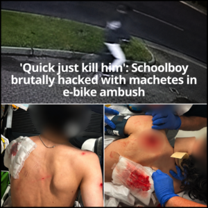 A schoolboy has been brutally slashed and stabbed with machetes after masked attackers allegedly stole his e bike while he was riding on a bike track in Wantirna